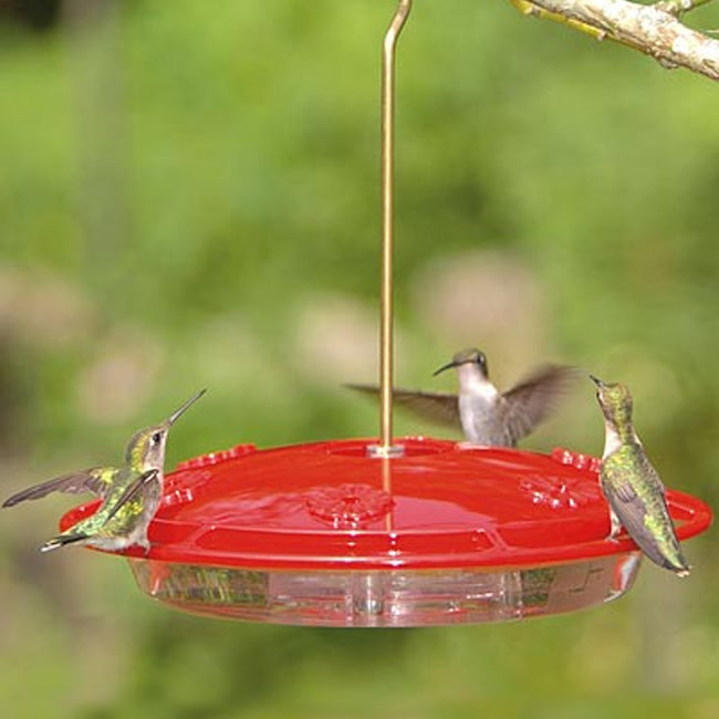 Aspects HummZinger Excel Hummingbird Feeders, Pack of 6