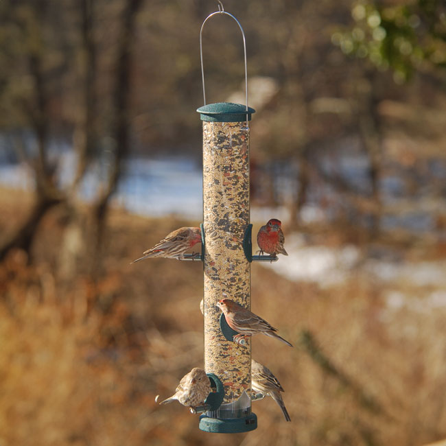 Aspects Quick-Clean Seed Tube Bird Feeders, Spruce, 6 Pack