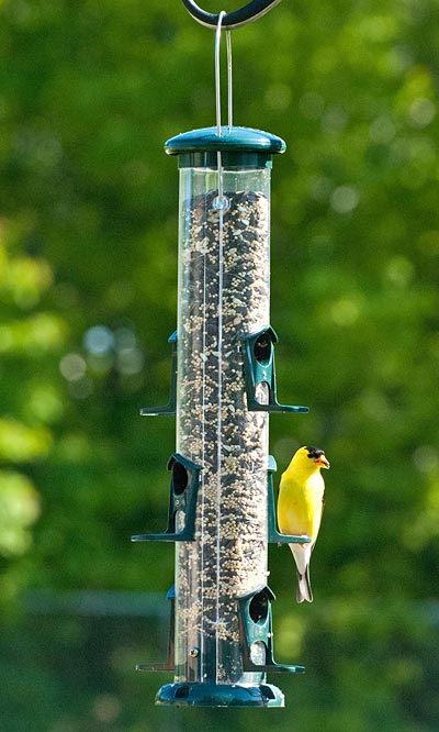 Audubon Seed Tube Bird Feeders, Green, 15", Pack of 4