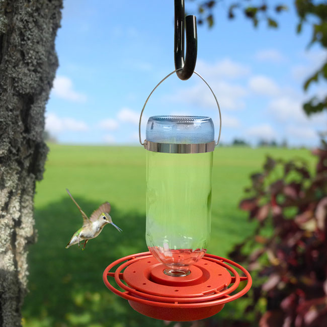 Best-1 Glass Hummingbird Feeder, 16 oz.