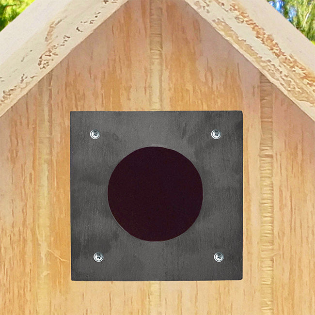 Coveside Slate Hole Protector, 2.25" dia. hole