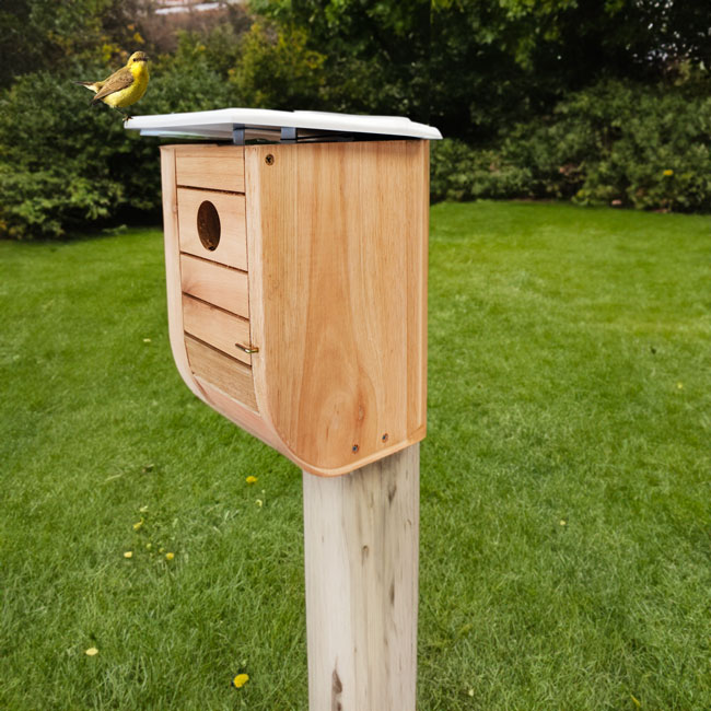 Wild Bird Lover's Nordic Habitat Modern Bluebird House