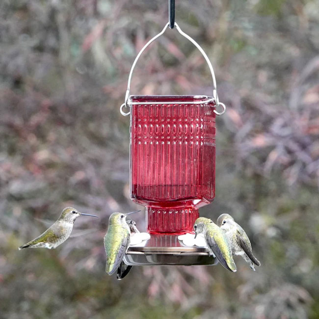 Nature's Way Crimson Carnation Hummingbird Feeder, 19 oz.