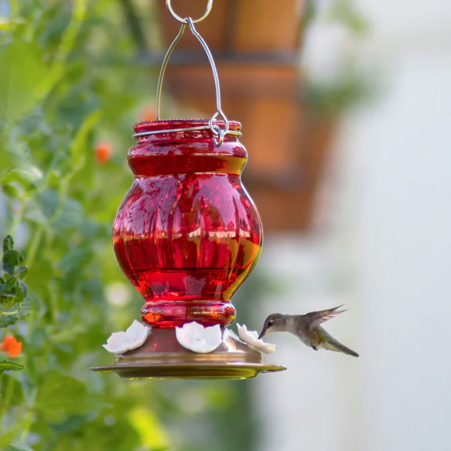 Nature's Way Ruby Visions Hummingbird Feeder, 25 oz.