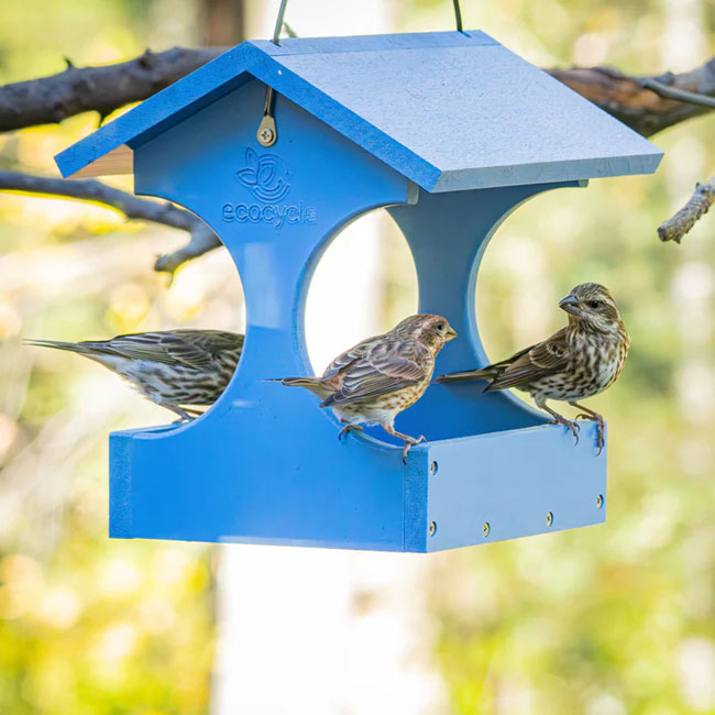 Nature's Way Dine-n-Dash Recycled Plastic Fly-Thru Feeder