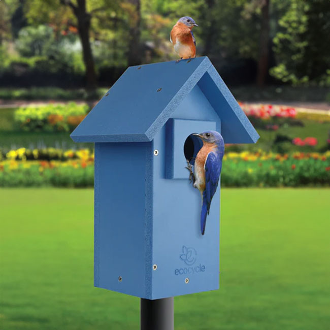 Nature's Way Bluebird Bungalow Recycled Plastic Bird House