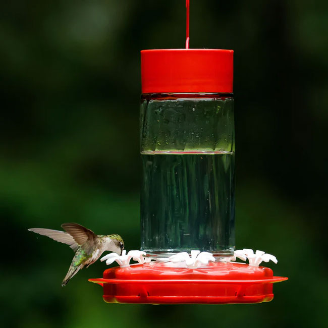 Nature's Way Scarlet Swirl Glass Hummingbird Feeder, 18 oz.