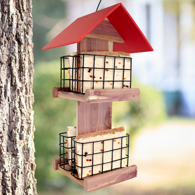 Amish Made Cedar and Recycled Plastic Quad Suet Cake Tower