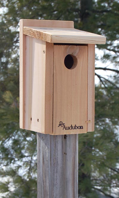 Audubon Cedar Bluebird House