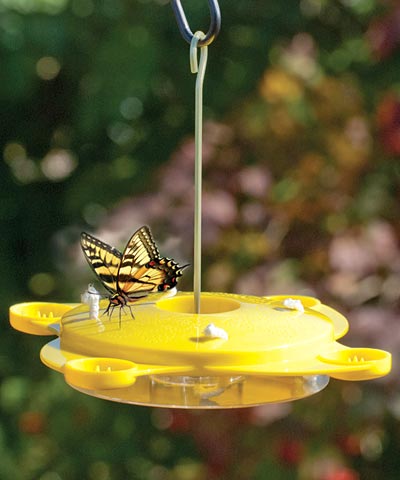 Audubon Classic Butterfly Feeder