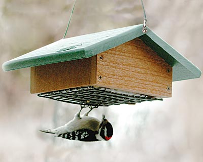 Audubon Recycled Plastic Upside Down Suet Feeder