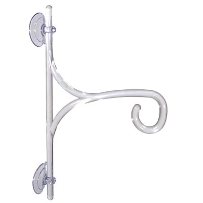 Audubon Window Glass Hanger, Clear, 11"