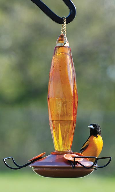 Audubon Cut Glass Oriole Feeder, Amber, 10 oz.