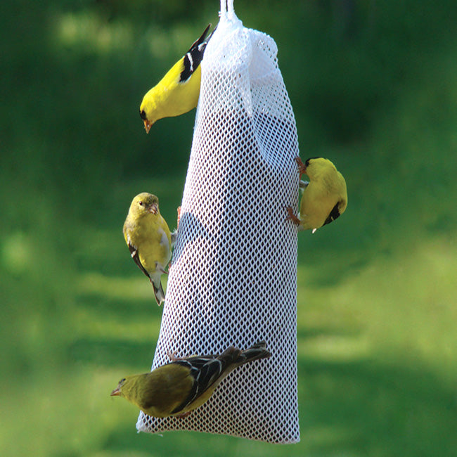 Audubon Thistle Sock Bird Feeder