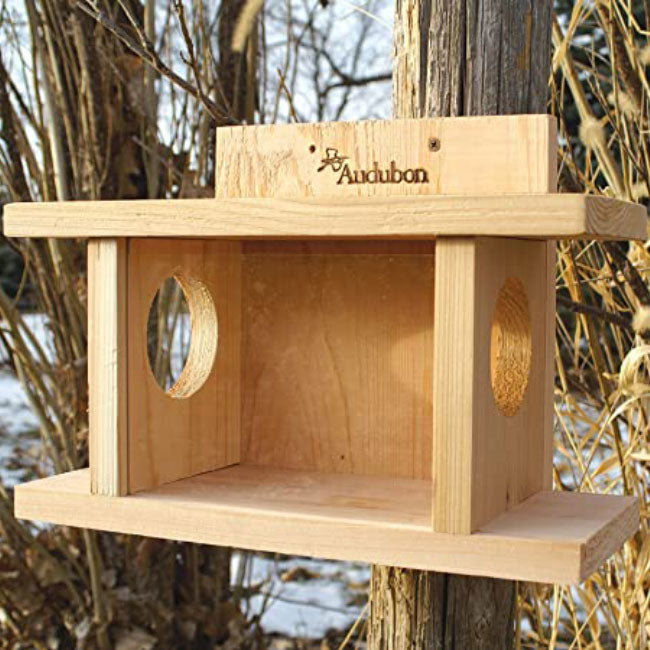 Audubon Squirrel Munch House