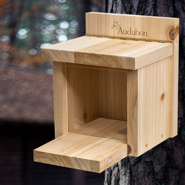 Audubon Squirrel Munch Box