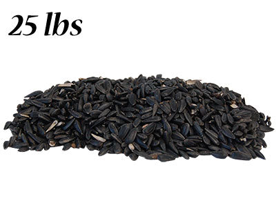 Black Oil Sunflower Seed, 25 lbs.