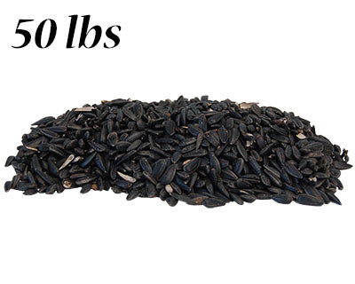 Black Oil Sunflower Seed, 50 lbs.