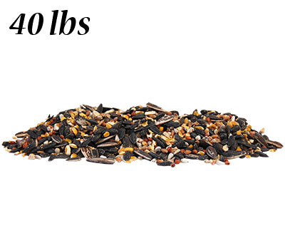 Wild Bird Seed Mix, No Millet Special, 40 lbs.