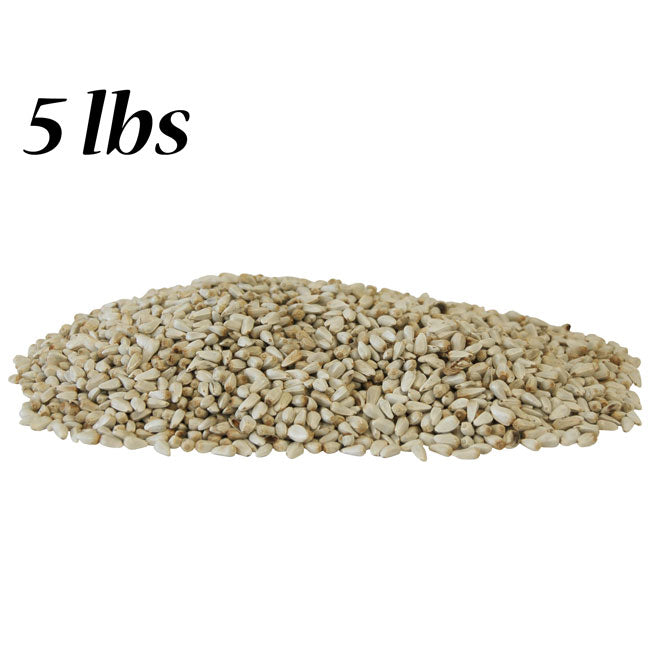 Safflower Seed, 5 lbs.