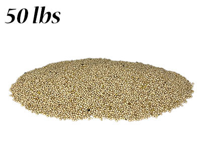 White Millet, 50 lbs.