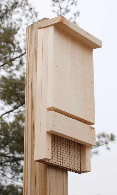 Coveside Mini Bat House, 12 bats