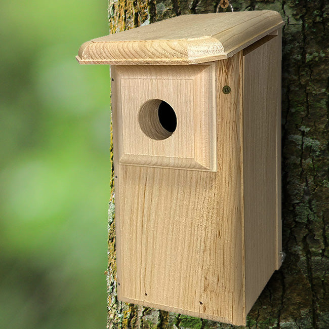 Coveside Classic Eastern Bluebird House