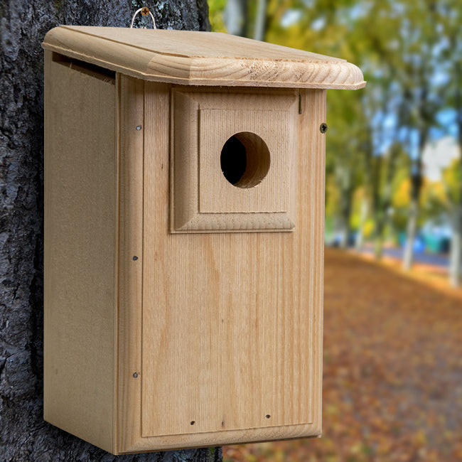 Coveside Western Bluebird House