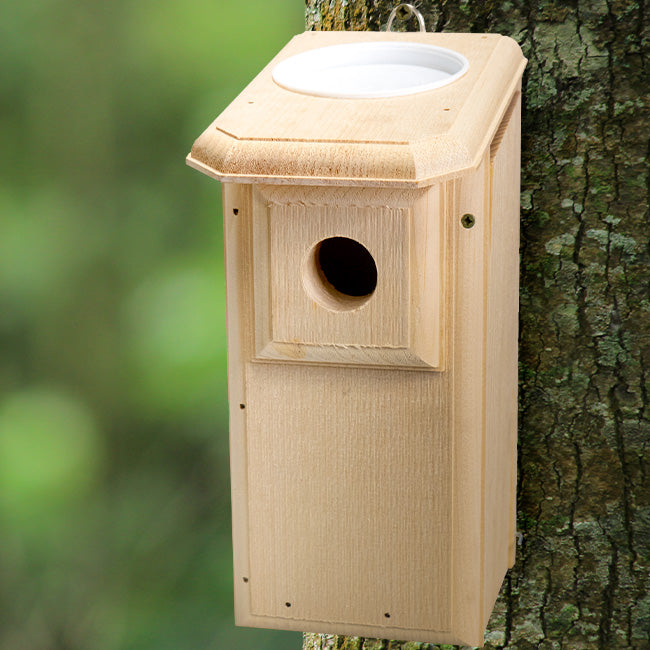 Coveside Open-Top Eastern Bluebird House