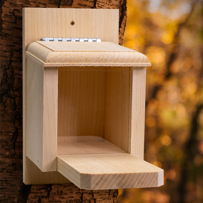 Coveside Peanut Box Squirrel Feeder