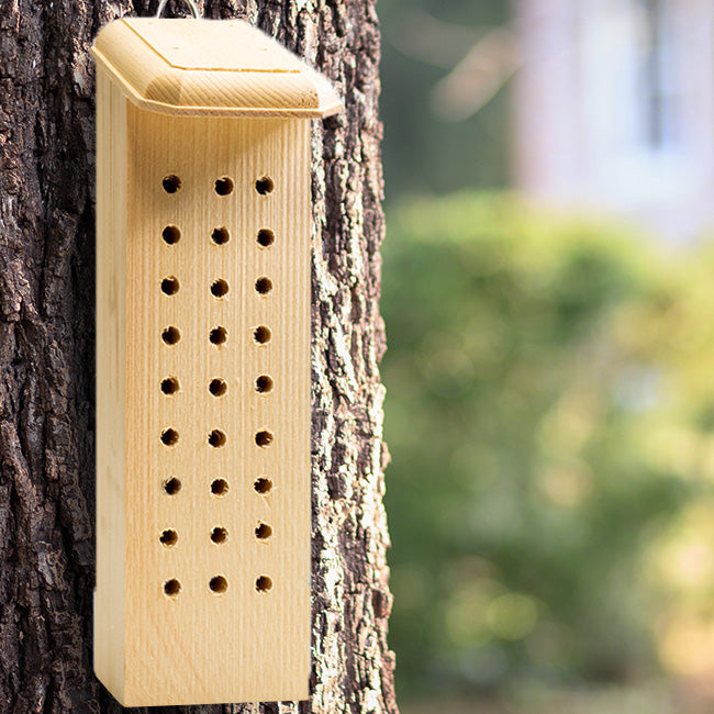 Coveside Solitary Bee House