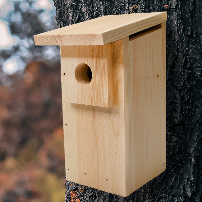 Coveside Basic Eastern Bluebird Trail Box