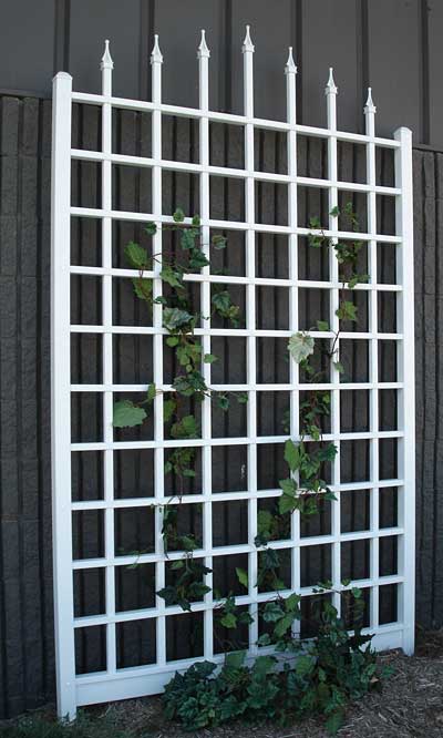 Dura-Trel Winchester Trellis, White, 96"H