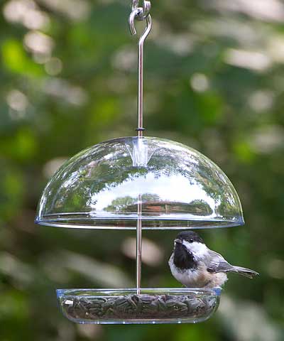 Droll Yankees Cutest Chickadee Feeder