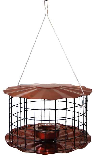 Erva Caged Bluebird Feeder, Copper Colored