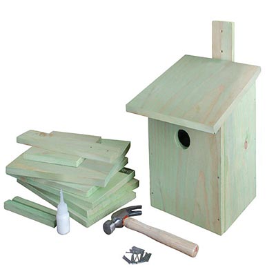 Esschert Design "Build It Yourself" Bird House Kit