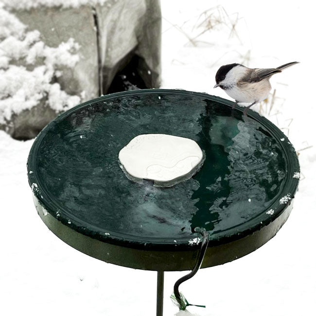 Farm Innovators Heated Rock Bird Bath Deicer, 75 Watts