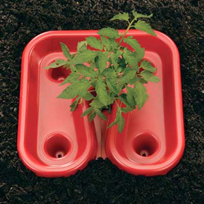 Gardeneer Red Tomato Enhancing Trays, Pack of 12