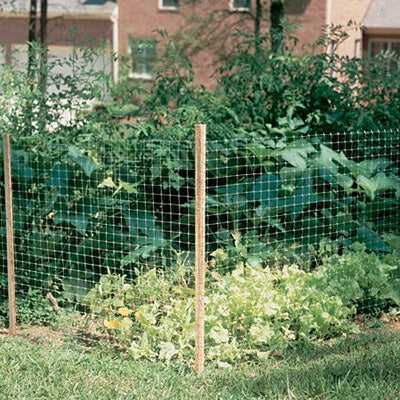 Gardeneer Plastic Fencing, 3' x 50'