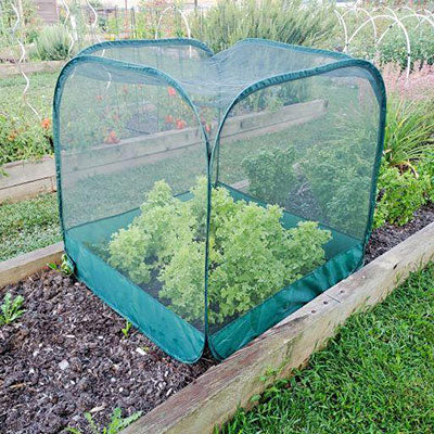 Gardeneer Pop-Net Protective Mesh Netting, 39"H