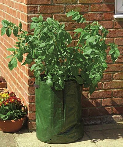 Gardman Potato Tubs, 15" dia., 3 Packs of 2