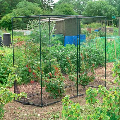 Gardman Medium Fruit Cage, Black, 63"H