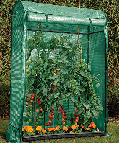 Gardman Premium Tomato Growhouse, 58"H