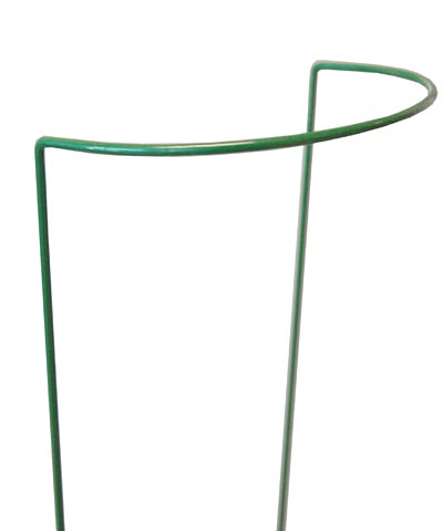 Gardman Semi-Round Plant Supports, 6" x 18", Pack of 50