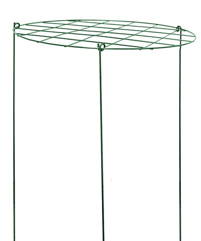 Gardman Grow-Through Plant Supports, 12" dia., Pack of 10