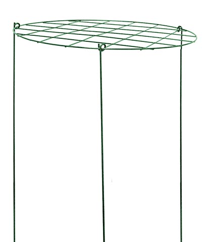 Gardman Grow-Through Plant Supports, 16" dia., Pack of 10