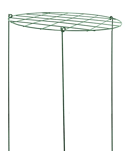 Gardman Grow-Through Plant Support, 20" dia., Pack of 10