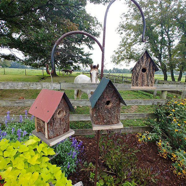 Bird In Hand Summer Amish Made Camp Bird Houses, Set of 3