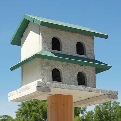 Bird In Hand Amish Made Hanover Purple Martin House, 4 Rooms