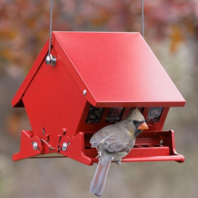 Heritage Farms Mini Absolute II Bird Feeder